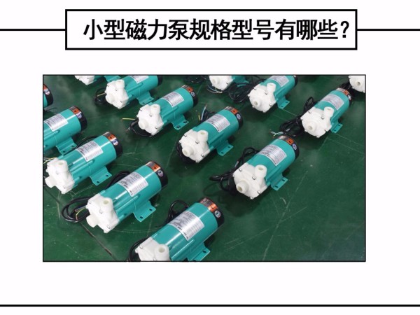 小型磁力泵規(guī)格型號(hào)有哪些？